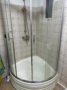 a shower with a glass door in a bathroom at MAURISIA APARTMENT Trou Aux Biches in Pamplemousses Village