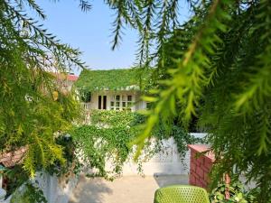 una casa con techo verde y patio en Vijaya's Homestead Jaipur, en Jaipur