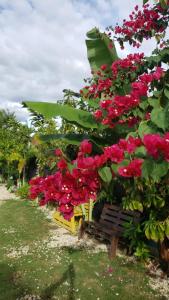 a bunch of pink flowers on a fence at Casa de Campo Nerys in SJM