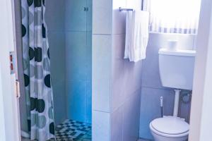 a bathroom with a toilet and a shower at Mesda Bed & Breakfast in Empangeni