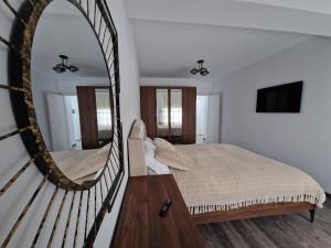a bedroom with a large mirror and a bed at Raluca cozy apartment's in Ploieşti