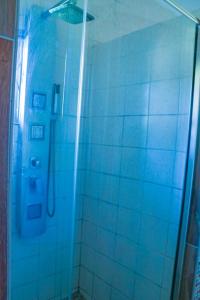 a shower with a glass door in a bathroom at Mesda Bed & Breakfast in Empangeni