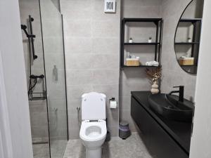 a bathroom with a toilet and a sink and a shower at Raluca cozy apartment's in Ploieşti