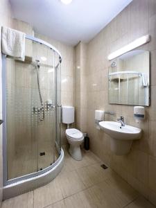 een badkamer met een douche, een toilet en een wastafel bij Pensiunea Karina in Caciulata