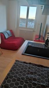 uma sala de estar com um sofá vermelho e uma mesa em Charmant T1Bis rénové avec goût em Rodez