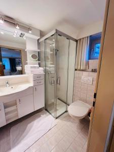 a bathroom with a shower and a toilet and a sink at Haus Kogler in Aich