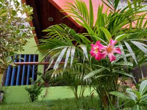 a pink flower in front of a house at Pousada Aconchego do Tambaú in João Pessoa