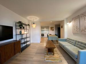 ein Wohnzimmer mit einem Sofa, einem TV und einem Tisch in der Unterkunft T2 bord du canal du midi piscine in Homps
