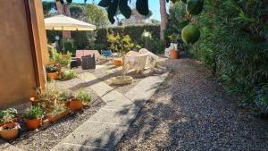un giardino con piante in vaso e ombrellone di A due passi dal mare a Santa Marinella Altre 2 foto