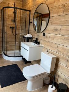 a bathroom with a toilet and a sink and a mirror at Kamień i Sowa in Lipinki Łużyckie