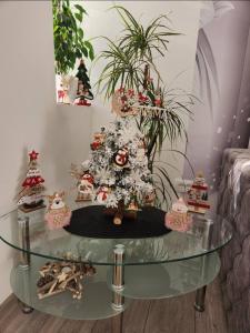 Fotografie z fotogalerie ubytování Apartment Marina 2 v destinaci Kotor