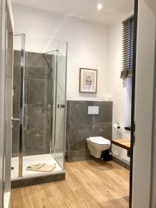 a bathroom with a shower and a toilet at Agli Hotel in Norden