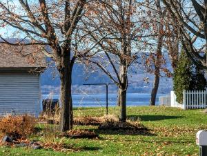 拉克羅斯的住宿－French Island Whot Tub, Kayak, Lake View, Ev，两棵树在房子旁边的院子