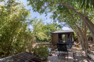 Vonkajšia záhrada v ubytovaní Cottage sul lago - Officina Didattica