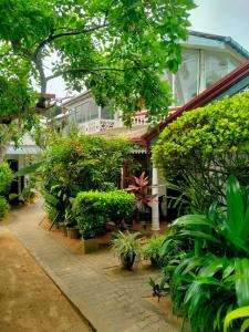 a garden in front of a building with plants at Brizo Resort in Mirissa