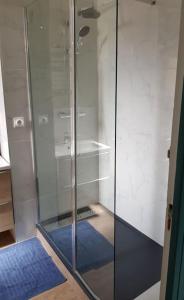 eine Dusche mit Glastür im Badezimmer in der Unterkunft Le 131 in Reims