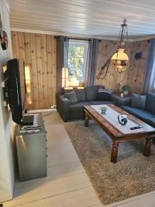 a living room with a couch and a tv at Hytte i Ringsaker (Ljøsheim/Sjusjøen) in Ringsaker