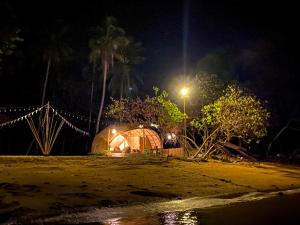 Příroda nedaleko luxury tent