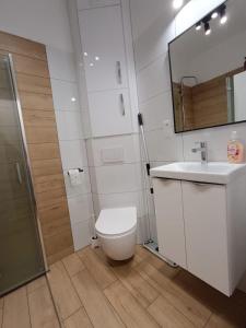 a bathroom with a toilet and a sink and a mirror at Apartament Sienkiewicza in Starachowice