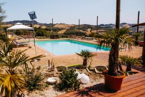 a large swimming pool with palm trees and chairs at Agricola La Casetta in Montefiore dellʼAso