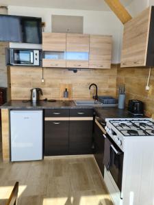 Kuchyň nebo kuchyňský kout v ubytování apartmán Sára