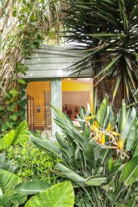 a garden with green plants and a building with a window at La Petite Calanque in Marseille