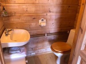 a small bathroom with a toilet and a sink at Lystang Glamping & Cabins in Notodden