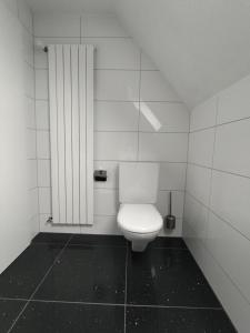 a bathroom with a white toilet in a stall at Butthouse Apartments in Trimbach