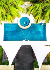 - une piscine en face d'une maison avec un palmier dans l'établissement Suenos del Mar II, à Playa Flamingo