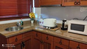 a kitchen counter with a sink and a microwave at Villa Dalam laut 530 in Pantai Cenang