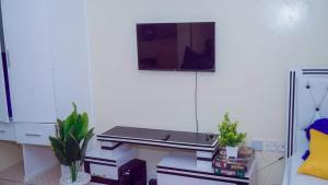 TV a/nebo společenská místnost v ubytování Precious homes airbnb