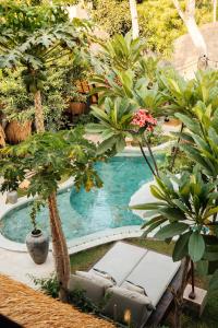 a swimming pool with two lounge chairs and trees at Hani Hideaway in Gili Islands