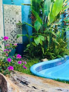 a garden with a blue swimming pool in the yard at Aldeia dos Encantos Inn in Arraial d'Ajuda