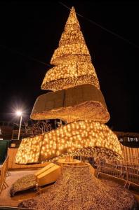 een grote kerstboom wordt 's nachts verlicht bij Séjour Côte d'Azur sur un navire de plaisance in Mandelieu-la-Napoule