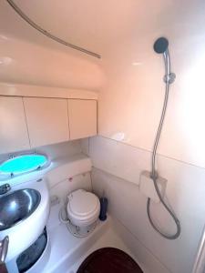a small bathroom with a toilet and a sink at Séjour Côte d'Azur sur un navire de plaisance in Mandelieu-La Napoule