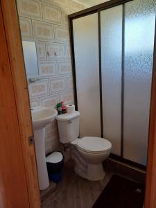 La salle de bains est pourvue de toilettes et d'un lavabo. dans l'établissement Cabañas Lomas de Putagan, à Linares