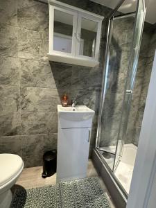 a bathroom with a shower and a sink and a toilet at Newly refurbished flat Colwyn Bay in Colwyn Bay