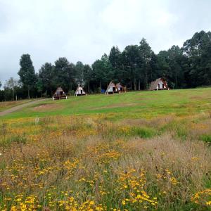 un prato con case sullo sfondo di Cabañas Keikary a Valle de Bravo