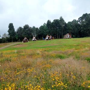 a field of grass with houses in the background at Cabañas Keikary in Valle de Bravo