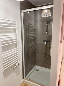 eine Dusche mit Glastür im Bad in der Unterkunft Maison spacieuse et chaleureuse in Condé-sur-Sarthe