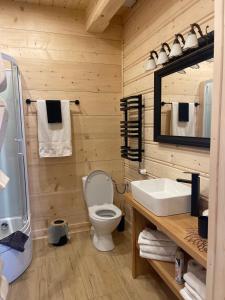 a wooden bathroom with a toilet and a sink at Góralska Chatka in Kościelisko