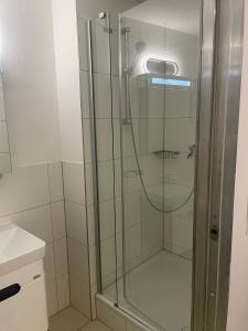 um chuveiro com uma porta de vidro na casa de banho em Nani City Hotel em Zürich