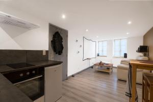 uma cozinha e sala de estar com um fogão e um sofá em Appartement spa privatif et cinéma centre ville em Metz