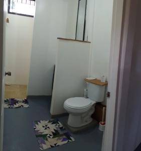 a bathroom with a toilet and a rug on the floor at Domus Herbace in San Isidro de El General