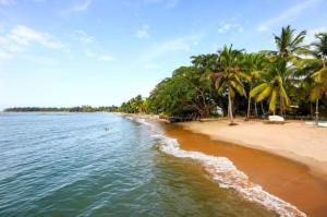a beach with palm trees and the ocean at Apartamento Tulum in Barra Grande