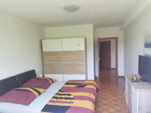 1 dormitorio con 1 cama, vestidor y TV en R'AUSZEIT, en Niedenstein