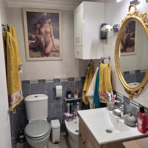 een badkamer met een toilet, een wastafel en een spiegel bij Shared accommodation a room with a view of the garden in Sevilla