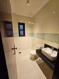 a bathroom with a toilet and a sink at Apartamento bien localizado in Ciudad del Este