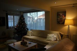 Mountain Home / Center Arachova في أراخوفا: غرفة معيشة مع شجرة عيد الميلاد وأريكة