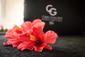 Zdjęcie z galerii obiektu Agroturismo Can Guillem w mieście Santa Gertrudis de Fruitera